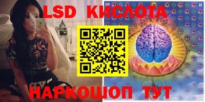 МДПВ Донецк