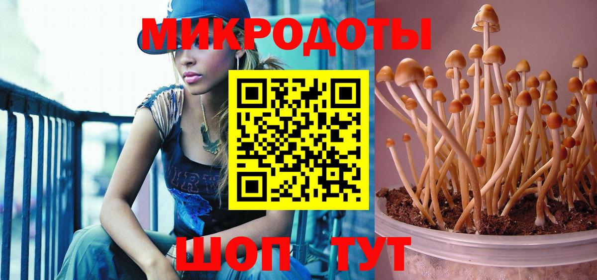 Галлюциногенные грибы MAGIC MUSHROOMS  Вход с VPN  Лесосибирск 